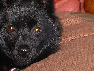 e0002466_2023443.jpg