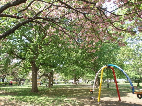 e0169470_1544432.jpg