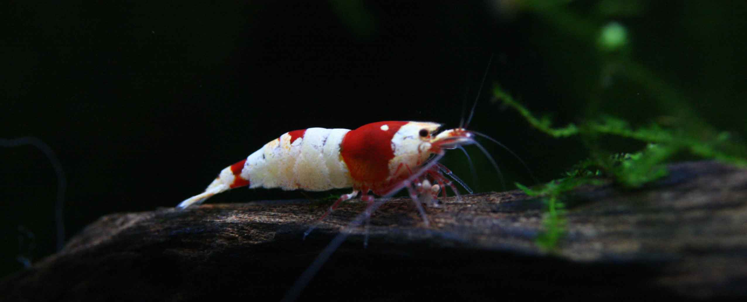 f0224970_20155348.jpg