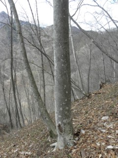 d0134473_16235599.jpg