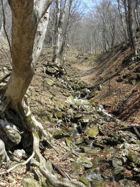 d0134473_1635411.jpg
