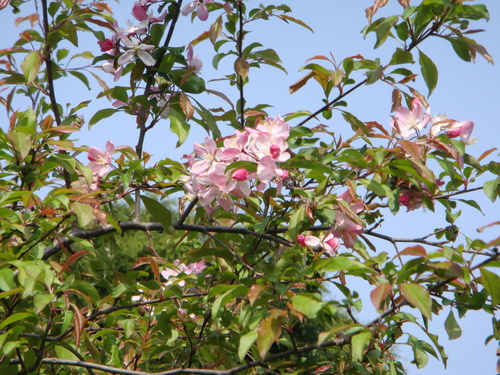 f0231573_22412292.jpg
