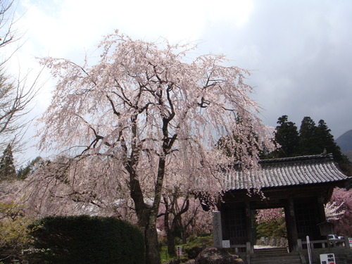 f0231573_22473371.jpg