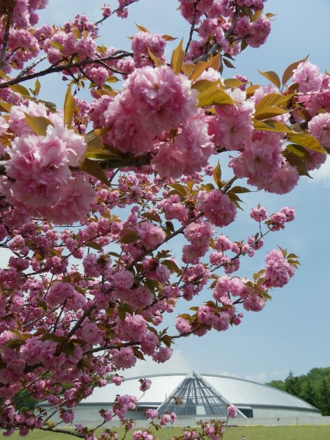 b0004675_13132738.jpg