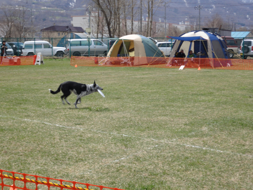 b0204977_20553080.jpg