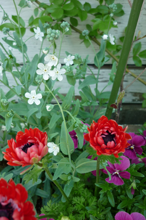 f0166982_2120998.jpg