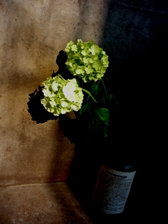 a0152785_22272512.jpg