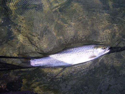 a0118989_1950449.jpg