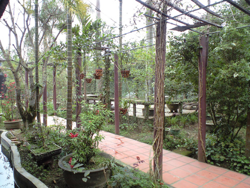 c0007989_0504562.jpg