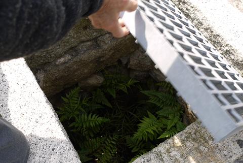 f0222692_15592327.jpg