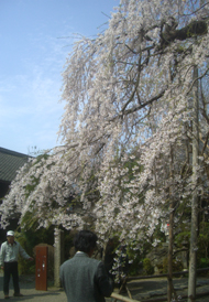 b0099994_9392295.jpg