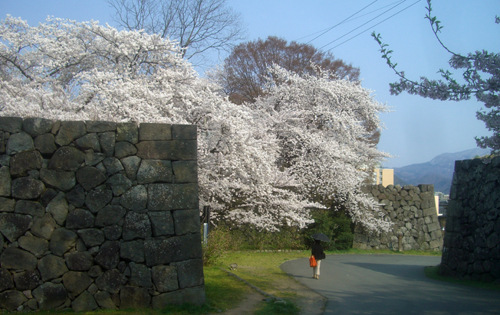 b0099994_9412253.jpg