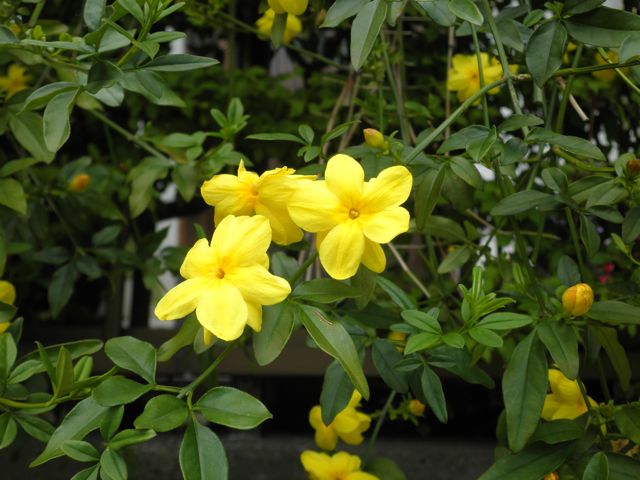 f0130894_21194881.jpg