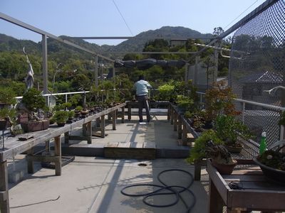 b0122502_96437.jpg