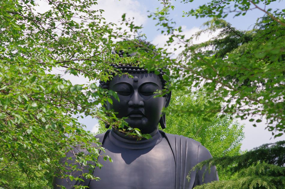 c0187503_17221666.jpg