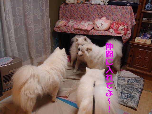 e0018604_818320.jpg