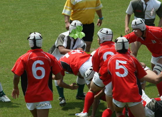 f0031304_715233.jpg