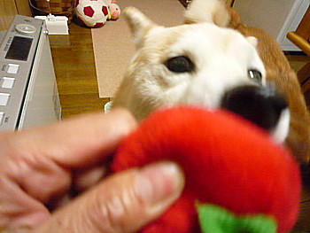 e0131506_13411100.jpg