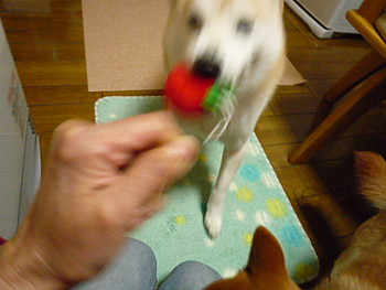 e0131506_1372073.jpg