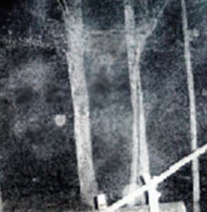 e0103408_15312355.jpg