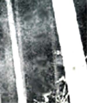 e0103408_15315478.jpg