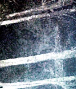 e0103408_1533299.jpg