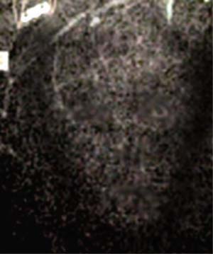 e0103408_15342794.jpg