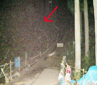 e0103408_15344059.jpg