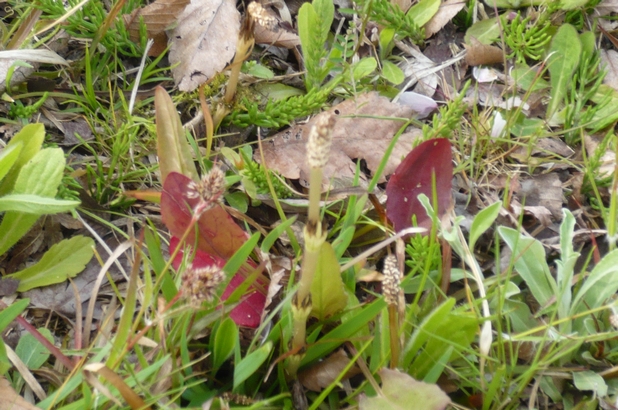 f0221708_13432744.jpg