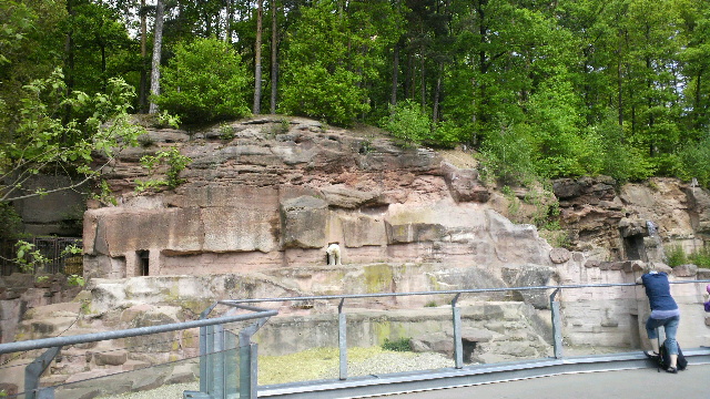 a0151913_2029625.jpg