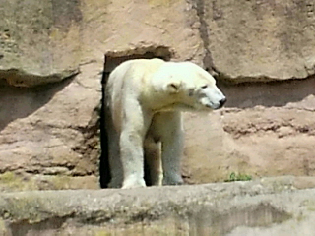 a0151913_2029697.jpg