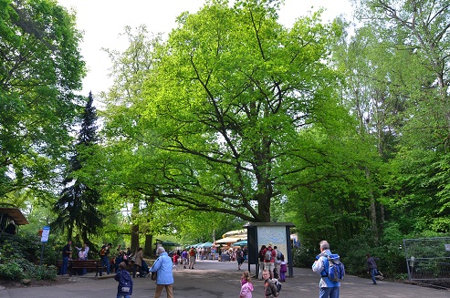 a0151913_2272771.jpg