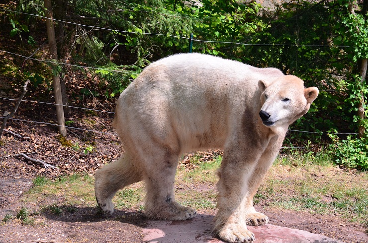 a0151913_342228.jpg