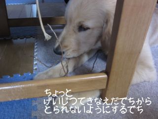 b0008217_13551045.jpg