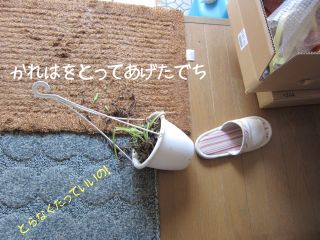 b0008217_13573183.jpg