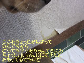 b0008217_140272.jpg