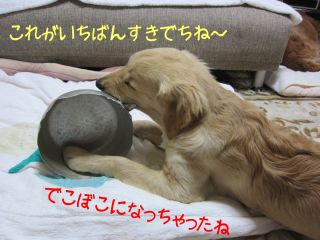 b0008217_140305.jpg