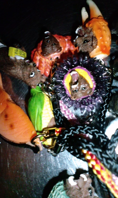 c0199319_20302252.jpg
