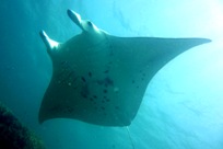 a0043520_17203145.jpg