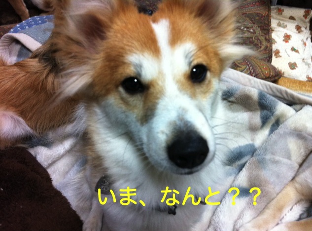 e0215622_21145733.jpg