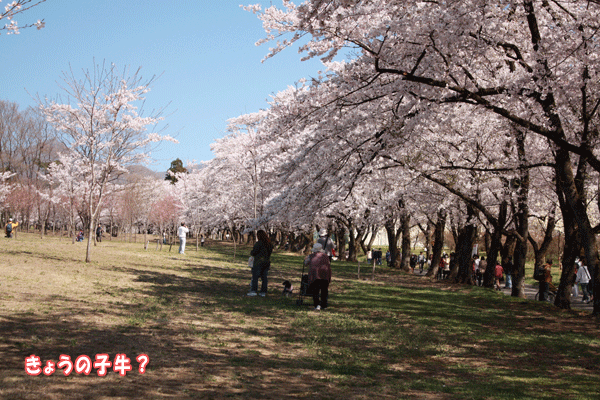 f0203423_17363012.gif