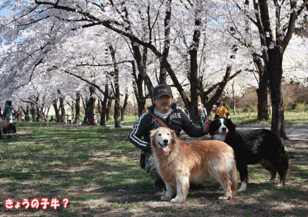 f0203423_17364739.gif