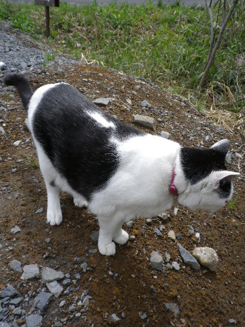d0193224_20563288.jpg