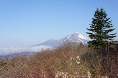 d0004728_8373578.jpg