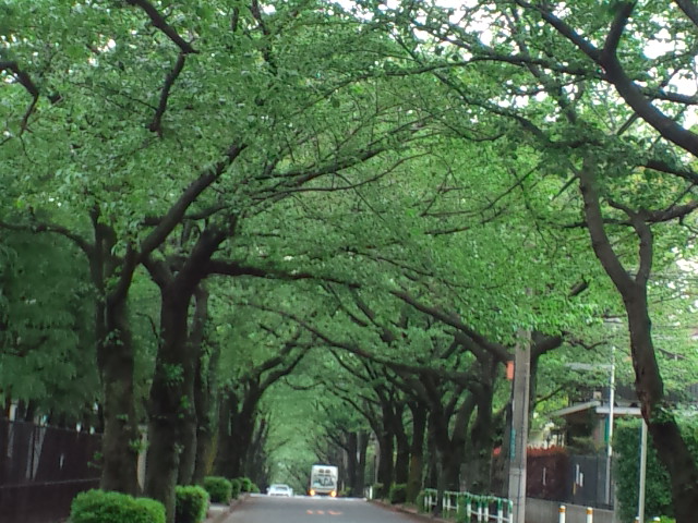 e0016828_127301.jpg