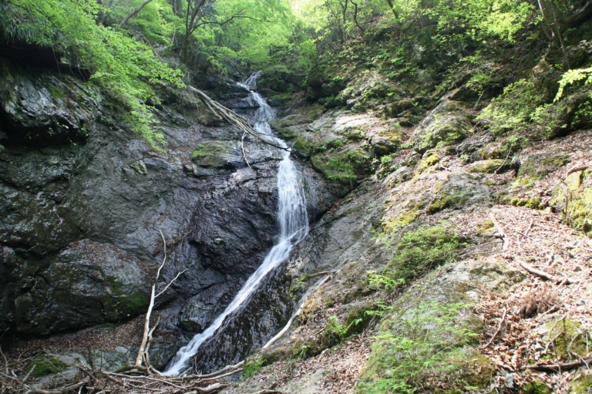 e0033229_2142306.jpg