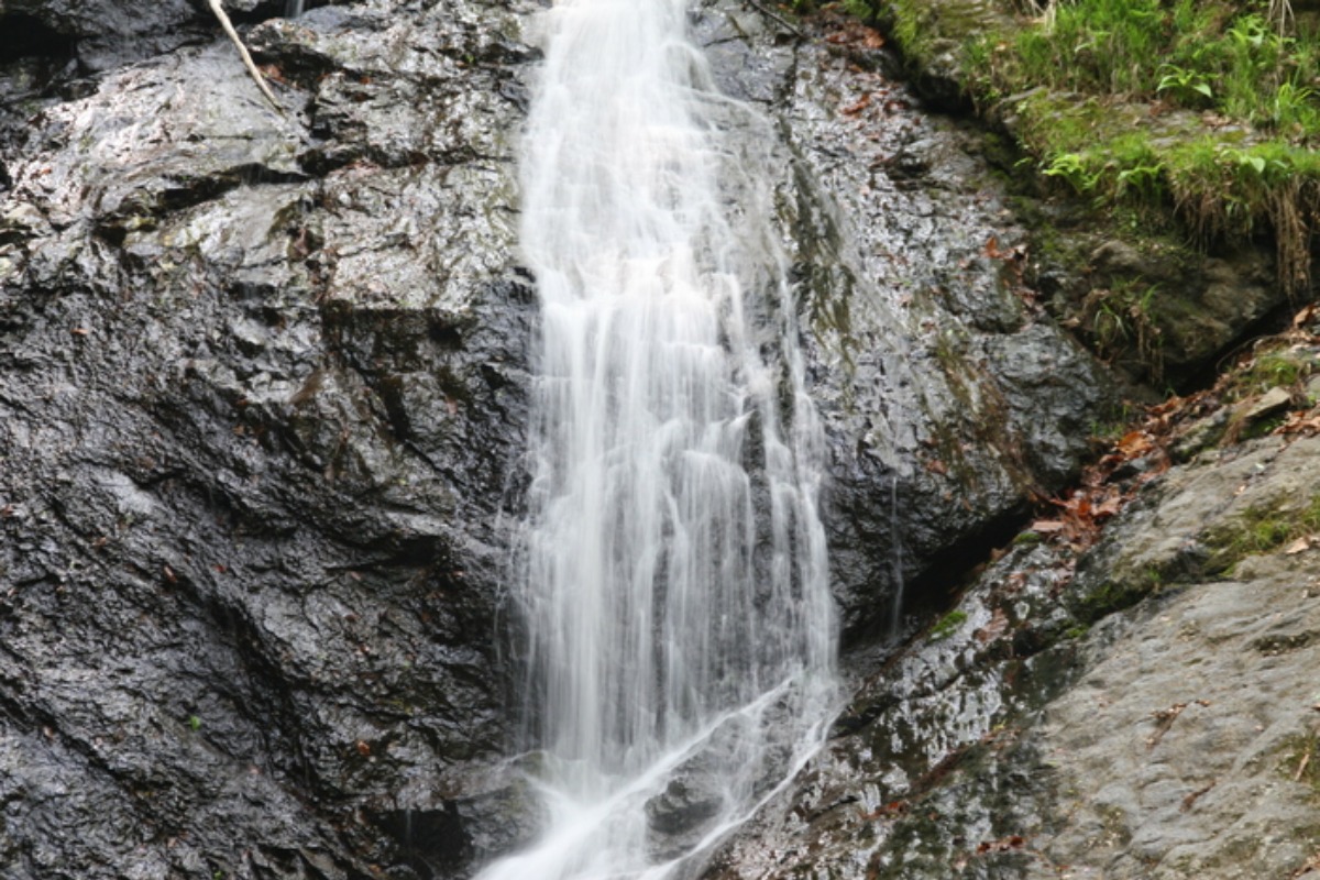 e0033229_220430.jpg