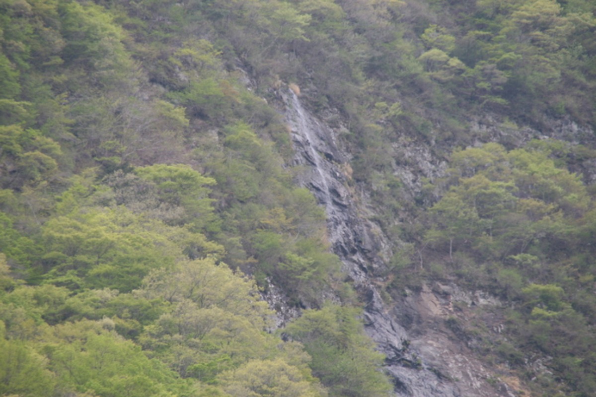 e0033229_22242814.jpg