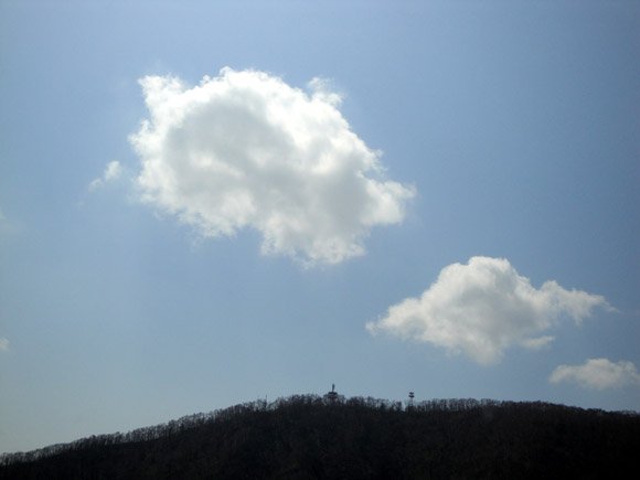 e0037129_1144543.jpg