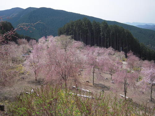 b0025633_16145731.jpg